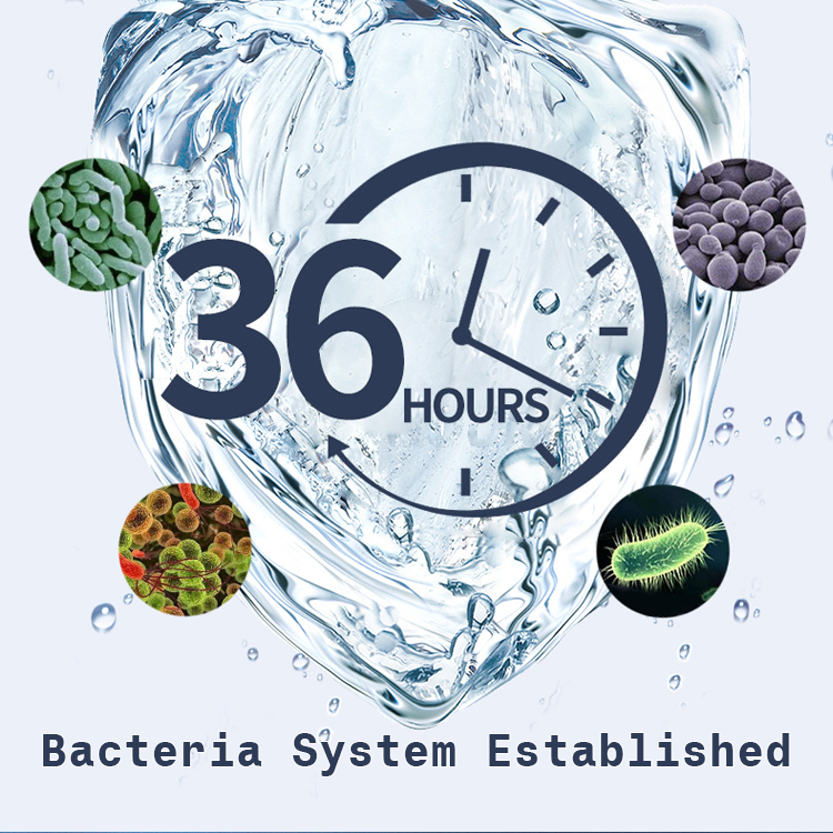 Nitrifying Bacteria to Establish Water Circulation System